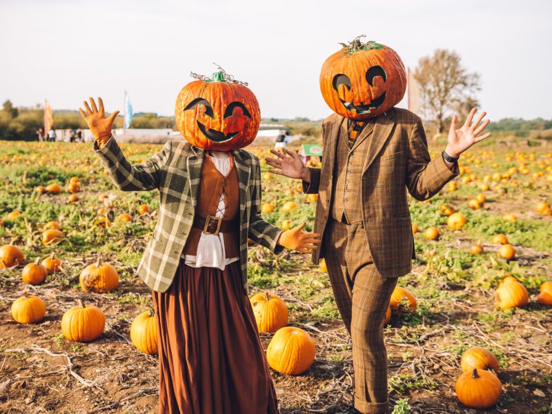 Avon Valley Pumpkin Patch